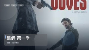 强推！《黑鸽 第一季》 2024 未删减 限时转存