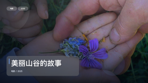 冷门但真好看！《美丽山谷的故事》 2025 中文字幕 未删减 限时转存