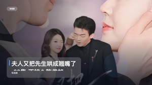 口碑真不错！《夫人又把先生哄成翘嘴了 60集 丁铭＆陈俊如》 未删减 限时转存