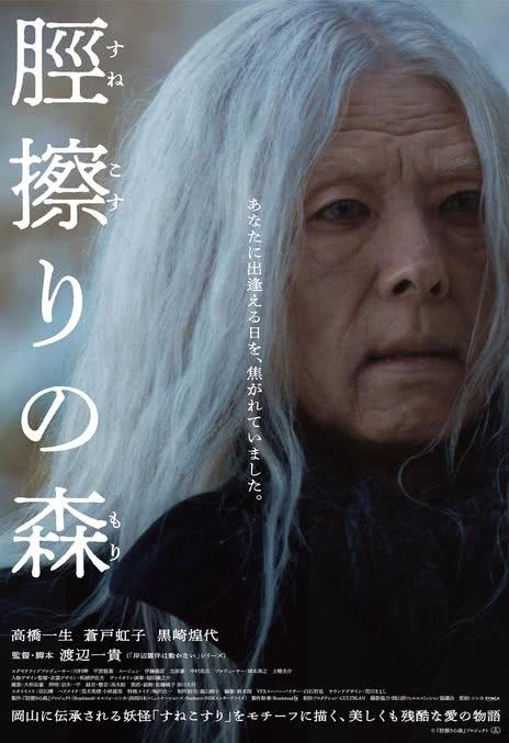 【高颜值双女主】《胫擦之森》 2026 夸克网盘资源 高清